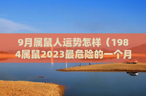 9月属鼠人运势怎样（1984属鼠2023最危险的一个月）