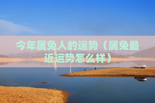 今年属兔人的运势（属兔最近运势怎么样）