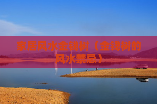 家居风水金钱树（金钱树的风水禁忌）