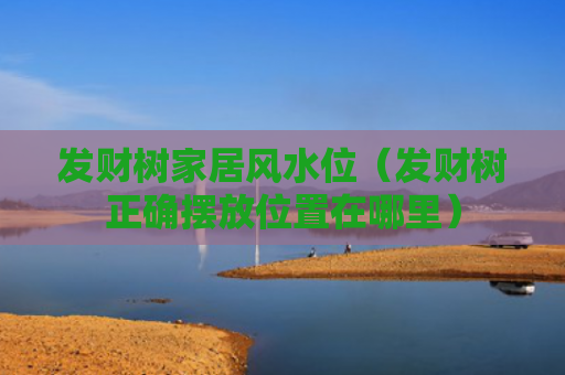 发财树家居风水位（发财树正确摆放位置在哪里）