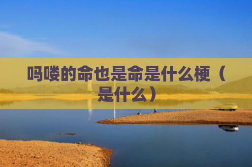 吗喽的命也是命是什么梗（是什么）