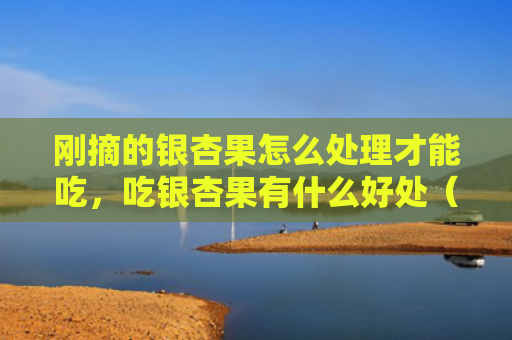 刚摘的银杏果怎么处理才能吃，吃银杏果有什么好处（银杏果能吃怎么处理）