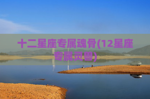 十二星座专属魂骨(12星座专属灵兽)