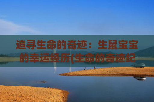 追寻生命的奇迹：生鼠宝宝的幸运经历(生命的奇迹纪录片)