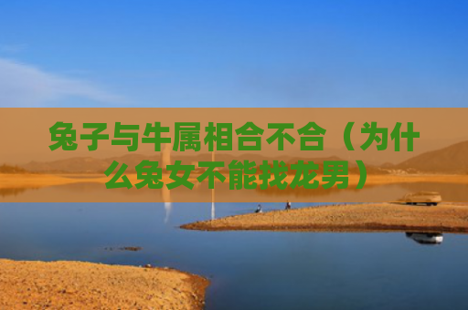 兔子与牛属相合不合（为什么兔女不能找龙男）