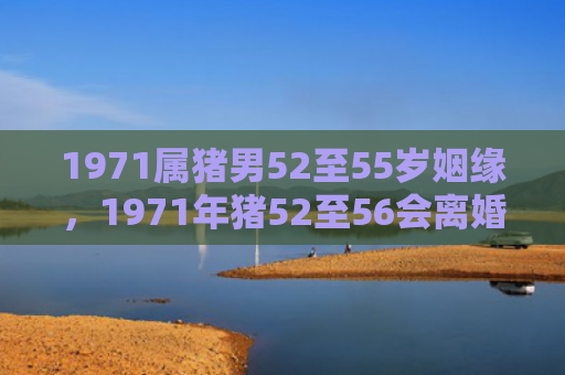 1971属猪男52至55岁姻缘，1971年猪52至56会离婚吗（年猪姻缘属猪）