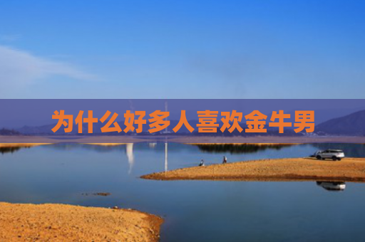 为什么好多人喜欢金牛男