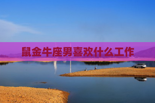 鼠金牛座男喜欢什么工作