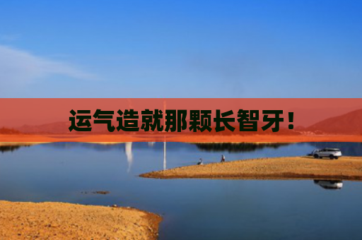 运气造就那颗长智牙！