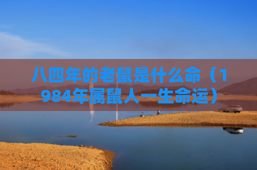 八四年的老鼠是什么命（1984年属鼠人一生命运）