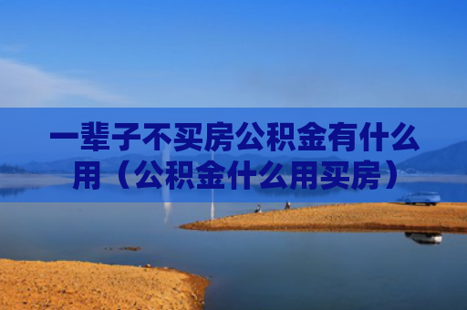 一辈子不买房公积金有什么用（公积金什么用买房）