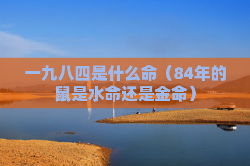 一九八四是什么命（84年的鼠是水命还是金命）