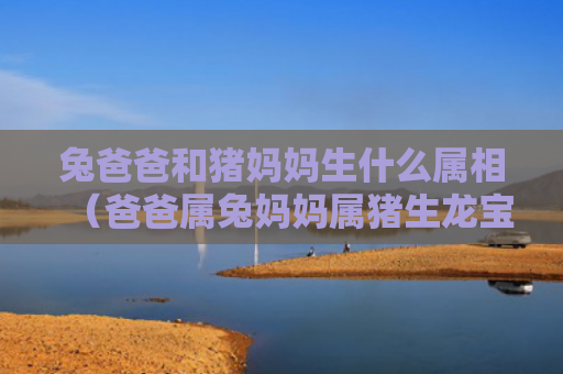 兔爸爸和猪妈妈生什么属相（爸爸属兔妈妈属猪生龙宝宝）