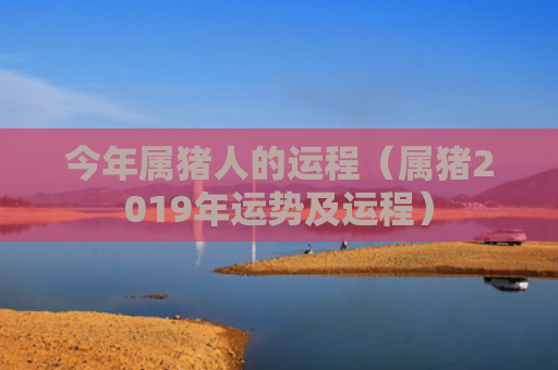 今年属猪人的运程（属猪2019年运势及运程）