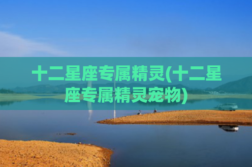 十二星座专属精灵(十二星座专属精灵宠物)