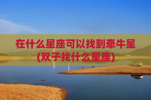 在什么星座可以找到牵牛星(双子找什么星座)