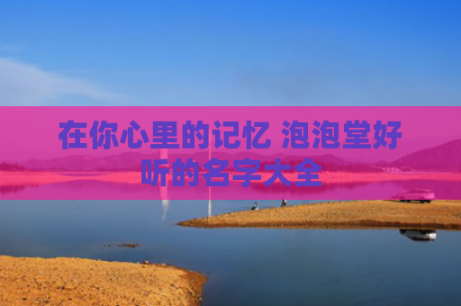 在你心里的记忆 泡泡堂好听的名字大全