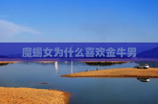 魔蝎女为什么喜欢金牛男