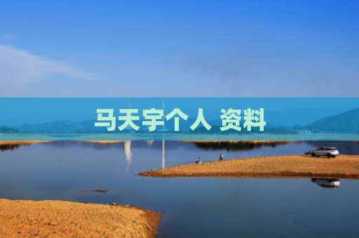 马天宇个人 资料