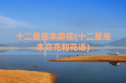 十二星座本命花(十二星座本命花和花语)