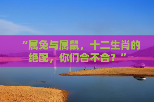 “属兔与属鼠，十二生肖的绝配，你们合不合？”