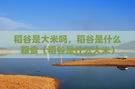 稻谷是大米吗，稻谷是什么粮食（稻谷是什么大米）