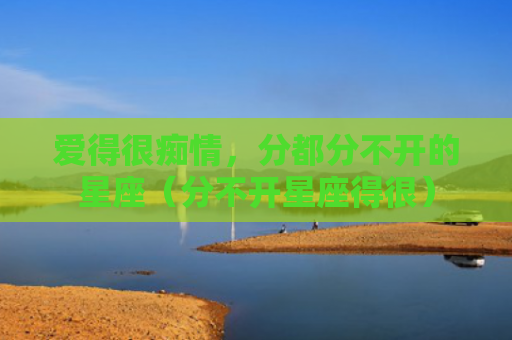 爱得很痴情，分都分不开的星座（分不开星座得很）