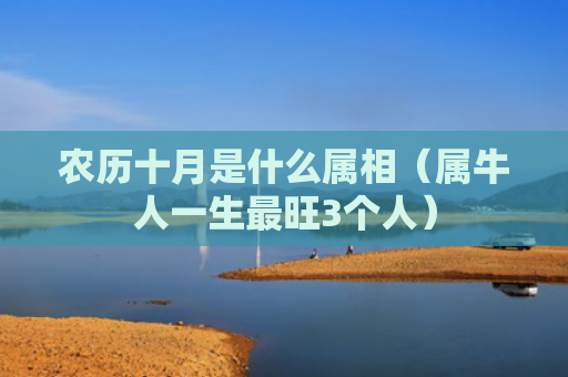 农历十月是什么属相（属牛人一生最旺3个人）