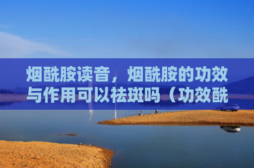 烟酰胺读音，烟酰胺的功效与作用可以祛斑吗（功效酰胺读音）