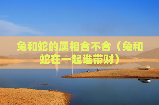 兔和蛇的属相合不合（兔和蛇在一起谁带财）