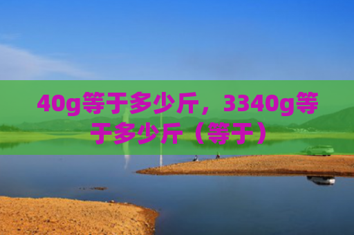 40g等于多少斤，3340g等于多少斤（等于）