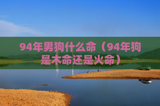 94年男狗什么命（94年狗是木命还是火命）