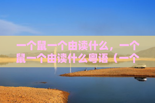 一个鼠一个由读什么，一个鼠一个由读什么粤语（一个粤语）