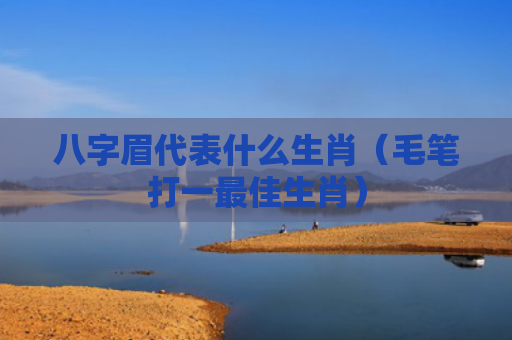 八字眉代表什么生肖（毛笔打一最佳生肖）