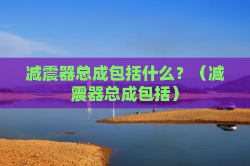 减震器总成包括什么？（减震器总成包括）