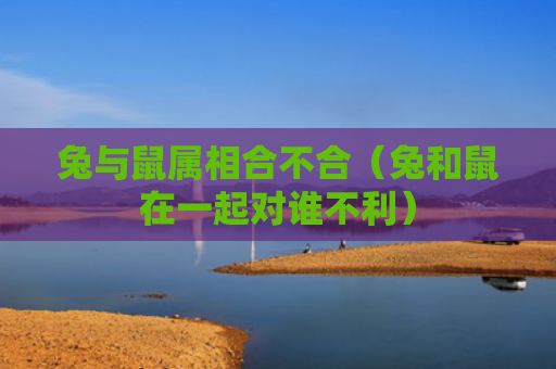 兔与鼠属相合不合（兔和鼠在一起对谁不利）