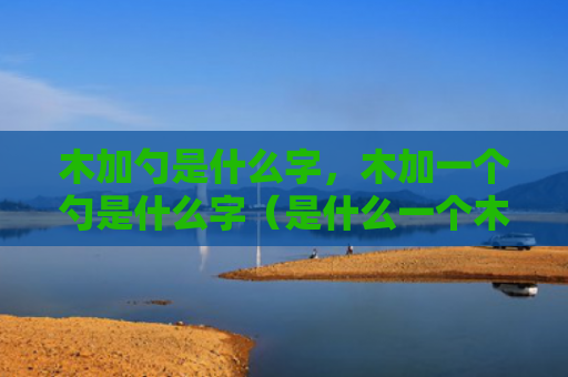木加勺是什么字，木加一个勺是什么字（是什么一个木加勺）