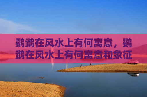 鹦鹉在风水上有何寓意，鹦鹉在风水上有何寓意和象征（风水象征上有）