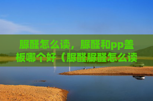 脲醛怎么读，脲醛和pp盖板哪个好（脲醛脲醛怎么读盖板）