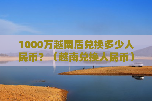 1000万越南盾兑换多少人民币？（越南兑换人民币）