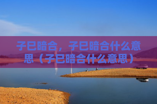 子巳暗合，子巳暗合什么意思（子巳暗合什么意思）