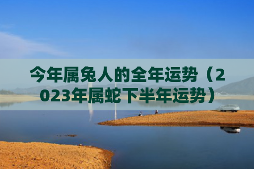今年属兔人的全年运势（2023年属蛇下半年运势）