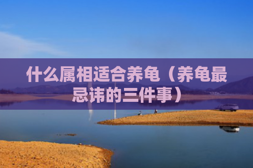 什么属相适合养龟（养龟最忌讳的三件事）