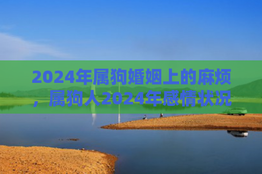 2024年属狗婚姻上的麻烦，属狗人2024年感情状况（属狗人属狗婚姻）