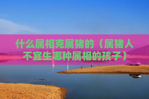什么属相克属猪的（属猪人不宜生哪种属相的孩子）