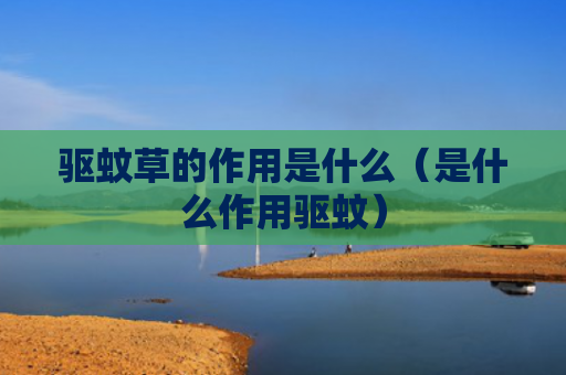 驱蚊草的作用是什么（是什么作用驱蚊）