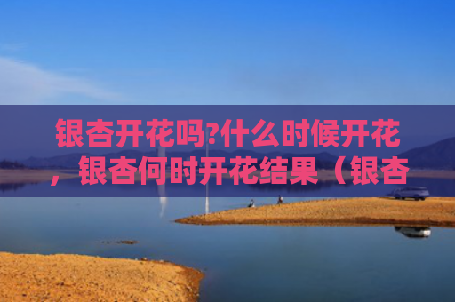 银杏开花吗?什么时候开花，银杏何时开花结果（银杏开花什么时候）