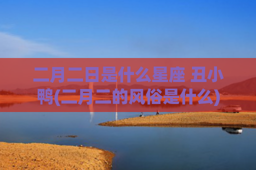 二月二日是什么星座 丑小鸭(二月二的风俗是什么)