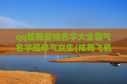 qq炫舞宠物名字大全霸气名字超帅气女生(炫舞飞机宠物名字)