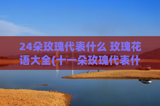 24朵玫瑰代表什么 玫瑰花语大全(十一朵玫瑰代表什)